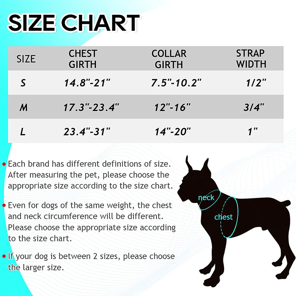 Dog Harness and Leash Set with Collar - Step in No Pull Dog Harness- Large