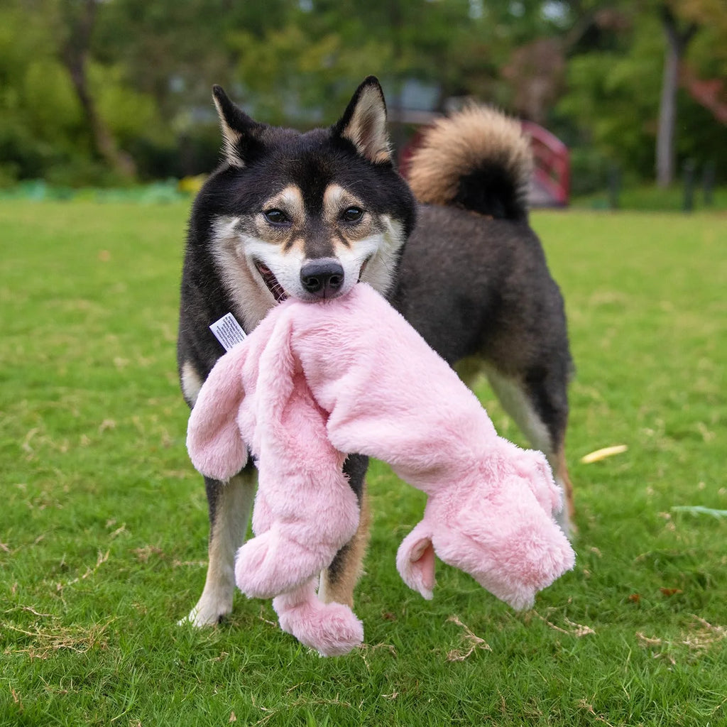 2-In-1 Fun Skin Stuffless Dog Squeaky Toy Pig & Wild Duck, Small