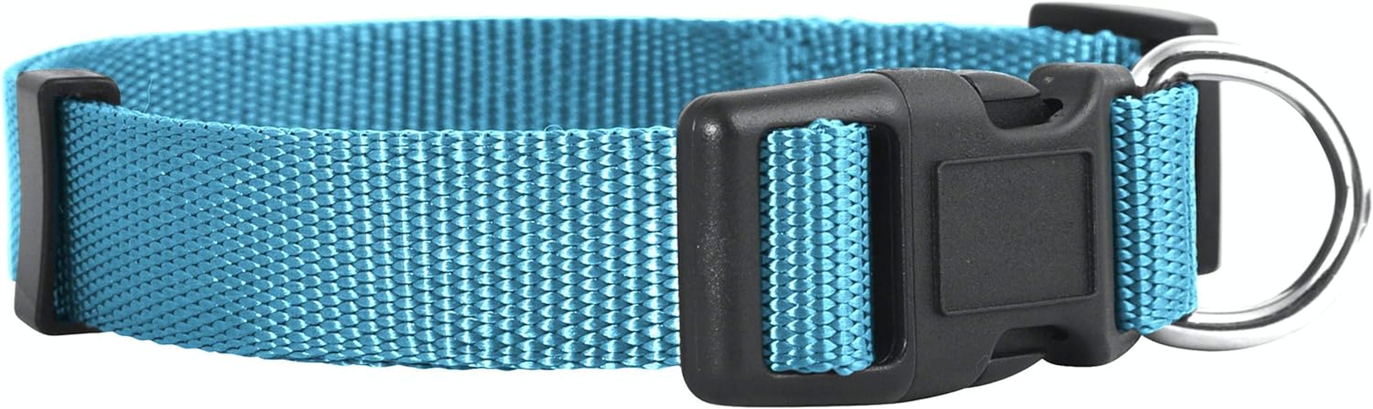 Adjustable Nylon Dog Collar for Small, Medium & Large Dogs | Comfortable Everyday Pet Collar
