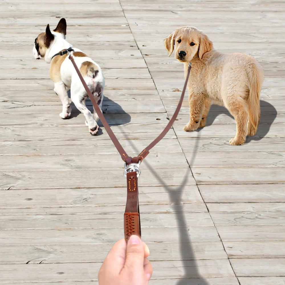 2-in-1 Double Dog Leash Coupler – Tangle-Free Dual Pet Lead with Handle for Two Dogs Small & Medium Dogs