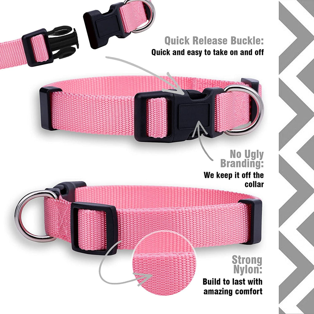 Adjustable Nylon Dog Collar for Small, Medium & Large Dogs | Comfortable Everyday Pet Collar
