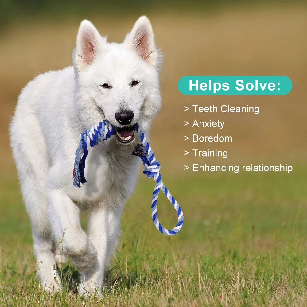 8-Pack Tough Rope Dog Toys for Aggressive Chewers | Interactive Teething Toys for Puppies & Small to Medium Dogs