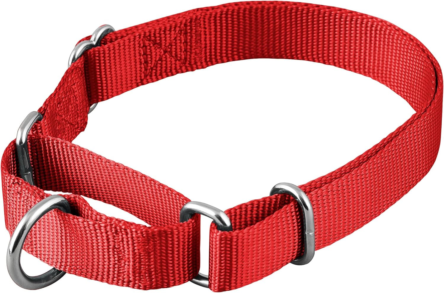 Adjustable Nylon Dog Collar for Small, Medium & Large Dogs | Comfortable Everyday Pet Collar
