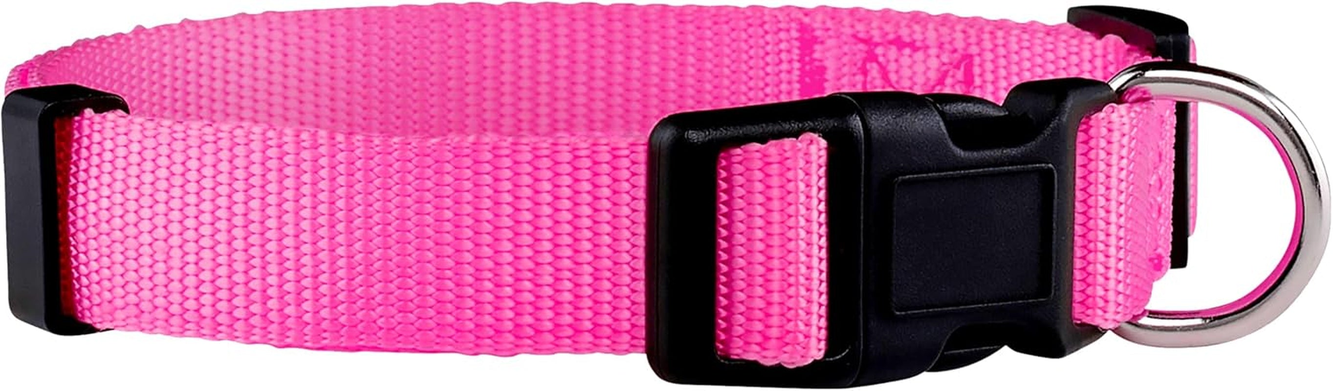 Adjustable Nylon Dog Collar for Small, Medium & Large Dogs | Comfortable Everyday Pet Collar