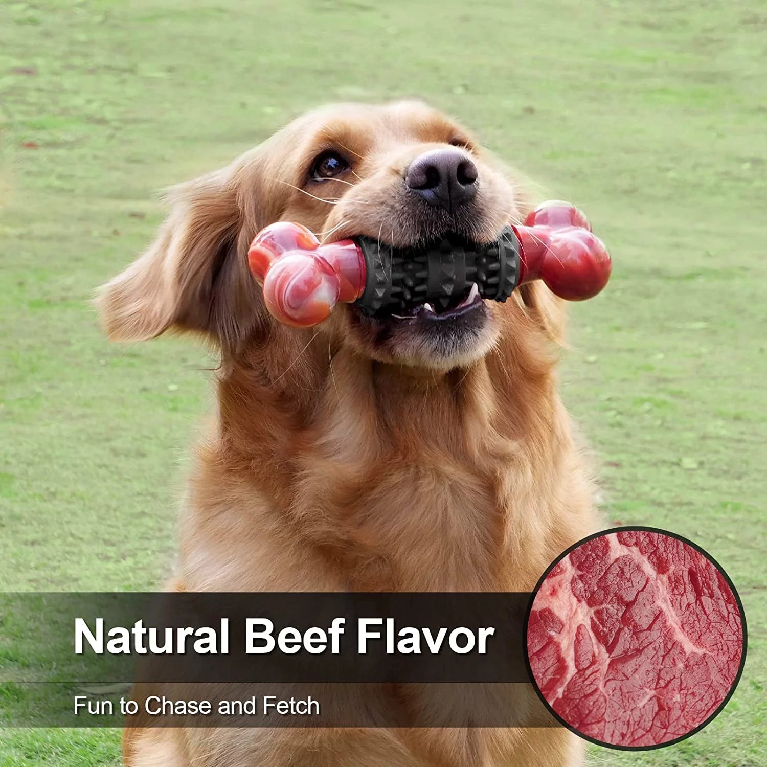 Indestructible Bone Dog Toy for Aggressive Chewers – Interactive Chew Toy for Medium & Large Dogs | Tough Dinosaur Dog Toy
