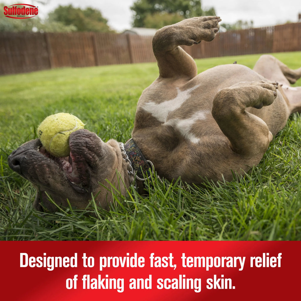 Medicated Shampoo & Conditioner for Dogs 12 Fluid Ounces