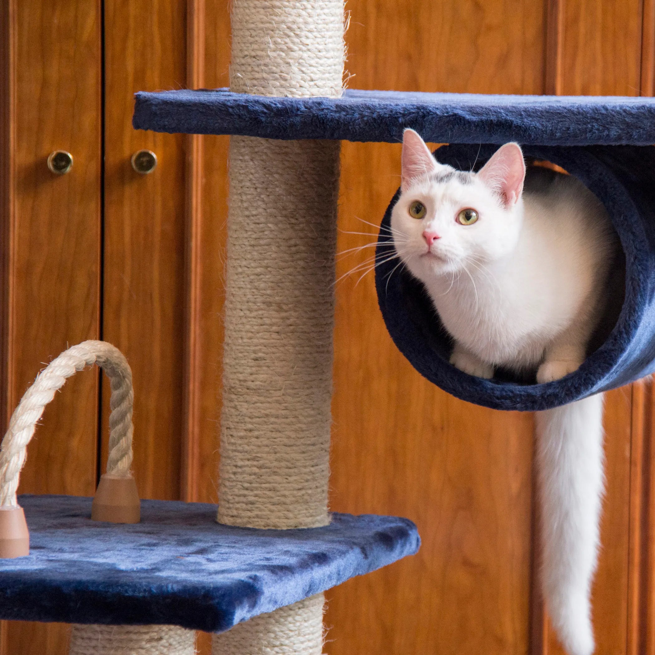 71" Real Wood Navy Cat Tree & Scratching Tower – Multi-Level Climbing and Play Center