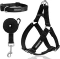 Dog Harness and Leash Set with Collar - Step in No Pull Dog Harness- Large