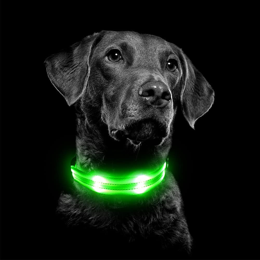 Vizpet Led Dog Collar, Rechargeable Light up Collar, Waterproof Flashing Light Basic Dog Collars, Super Bright Night Safety (Green, Large)