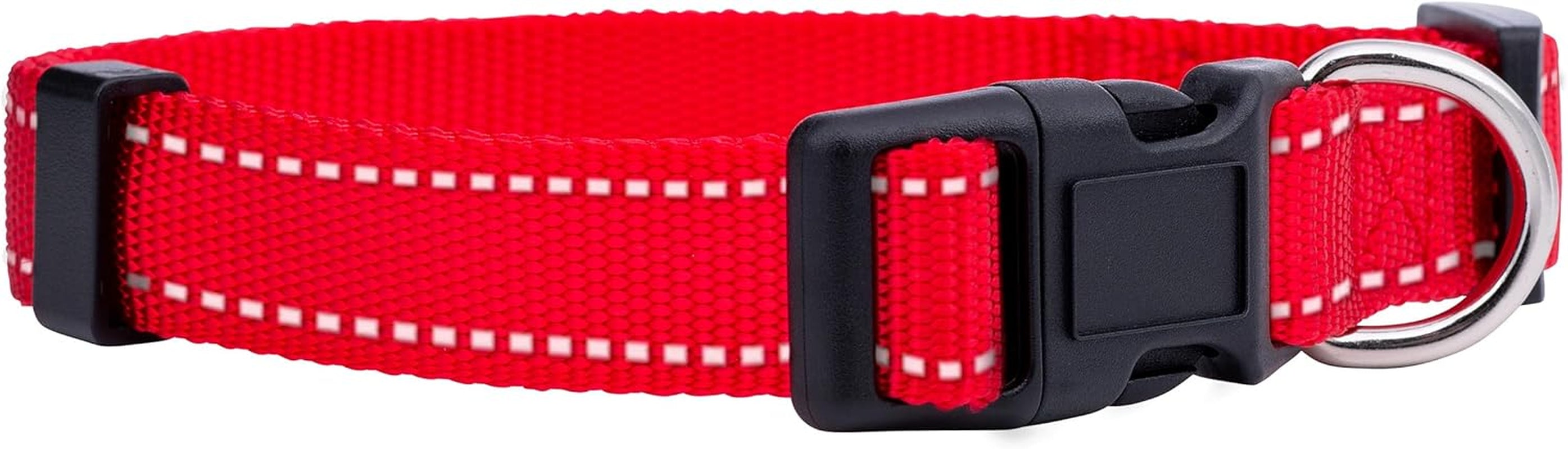 Adjustable Nylon Dog Collar for Small, Medium & Large Dogs | Comfortable Everyday Pet Collar