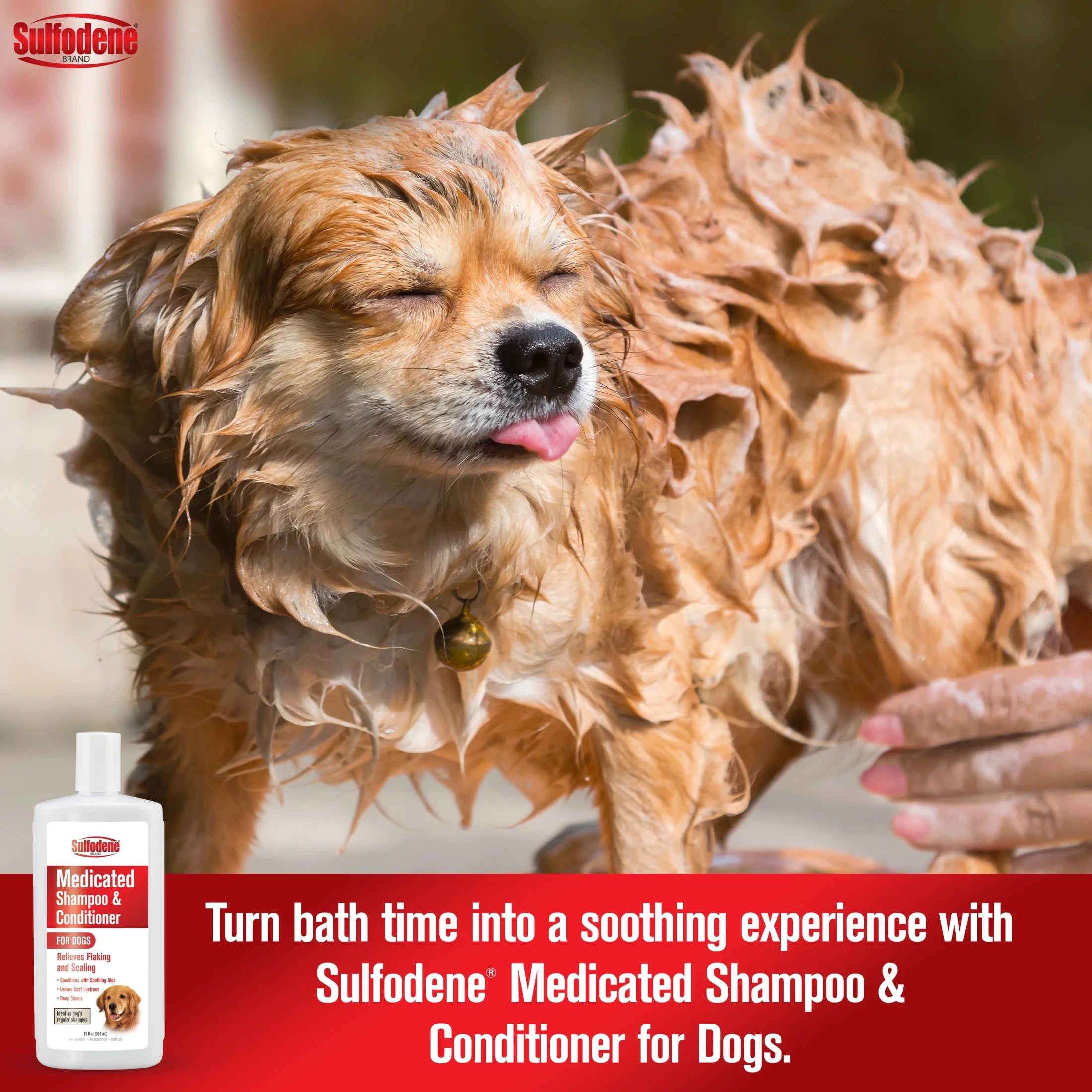 Medicated Shampoo & Conditioner for Dogs 12 Fluid Ounces