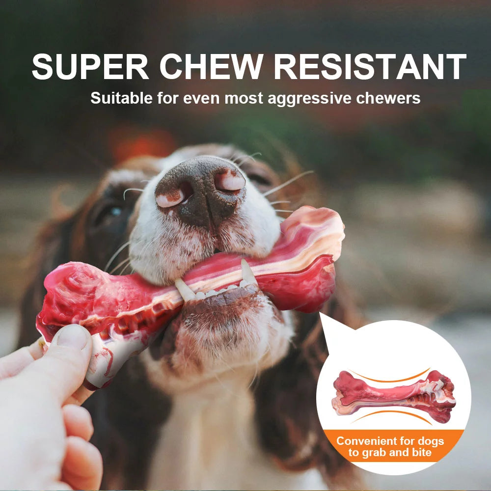 Durable Interactive Dog Toy for Teething, Chewing & Teeth Cleaning