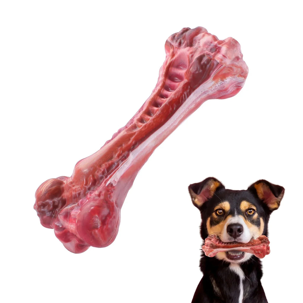 Durable Interactive Dog Toy for Teething, Chewing & Teeth Cleaning