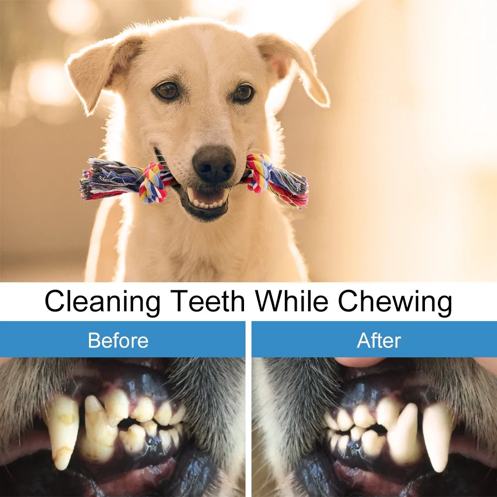 8-Pack Tough Rope Dog Toys for Aggressive Chewers | Interactive Teething Toys for Puppies & Small to Medium Dogs