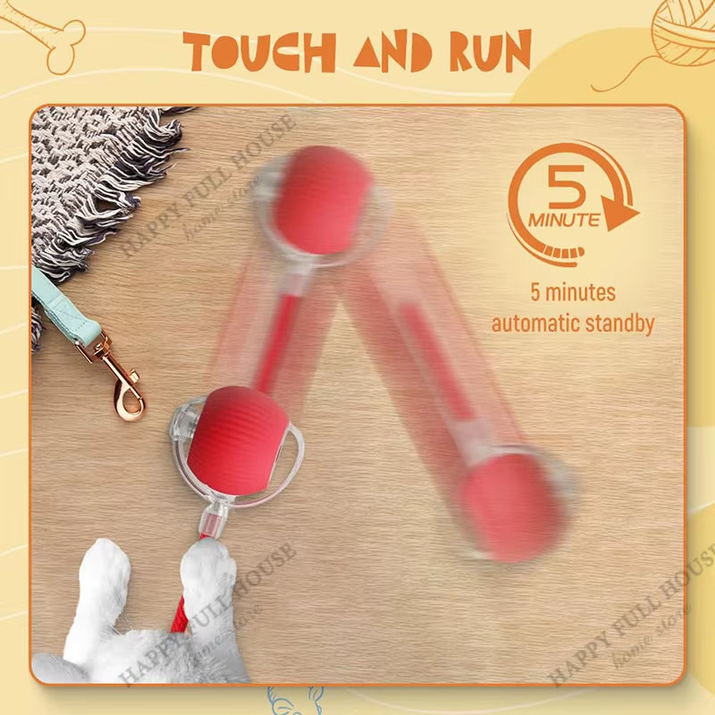 2-in-1 Interactive Cat Toy Ball – Automatic Moving Electric Cat Toy for Indoor Cats | Fun Self-Play Exercise Toy