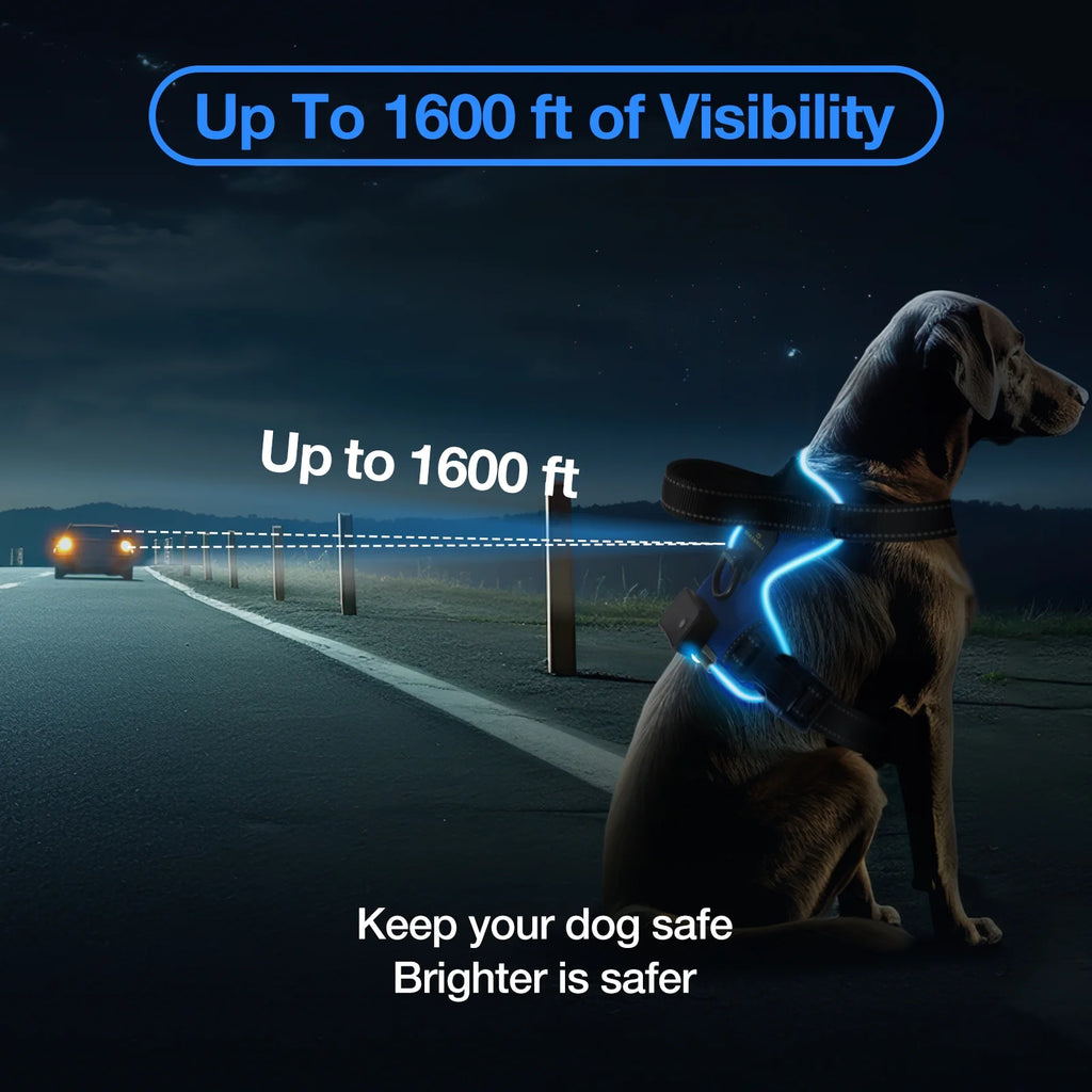 MASBRILL LED Light-Up Dog Harness Blue Large – Rechargeable No-Pull Reflective Harness for Night Walking