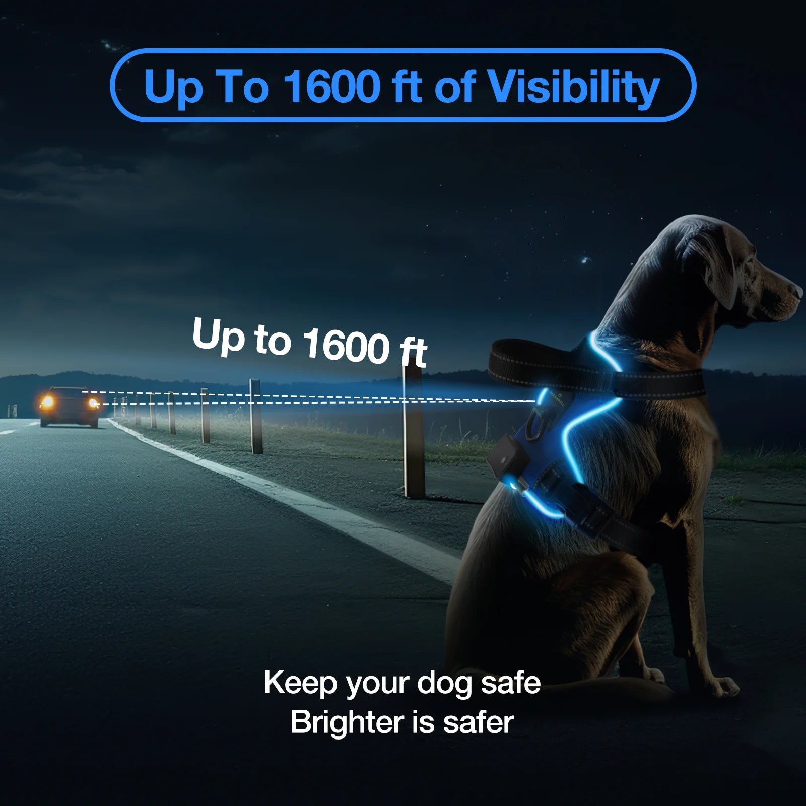 MASBRILL LED Light-Up Dog Harness Blue Large – Rechargeable No-Pull Reflective Harness for Night Walking