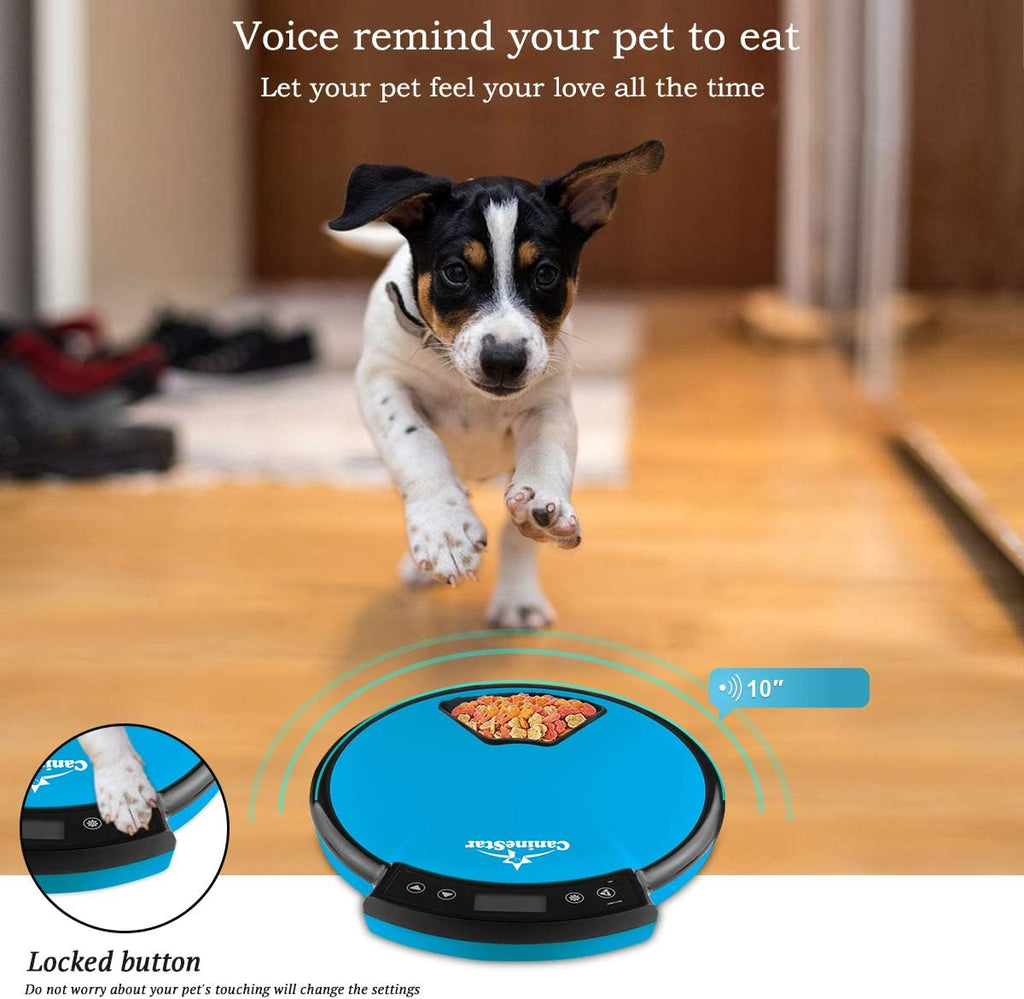 Caninestar Automatic Pet Feeder – 5-Meal Timed Food Dispenser for Cats & Dogs