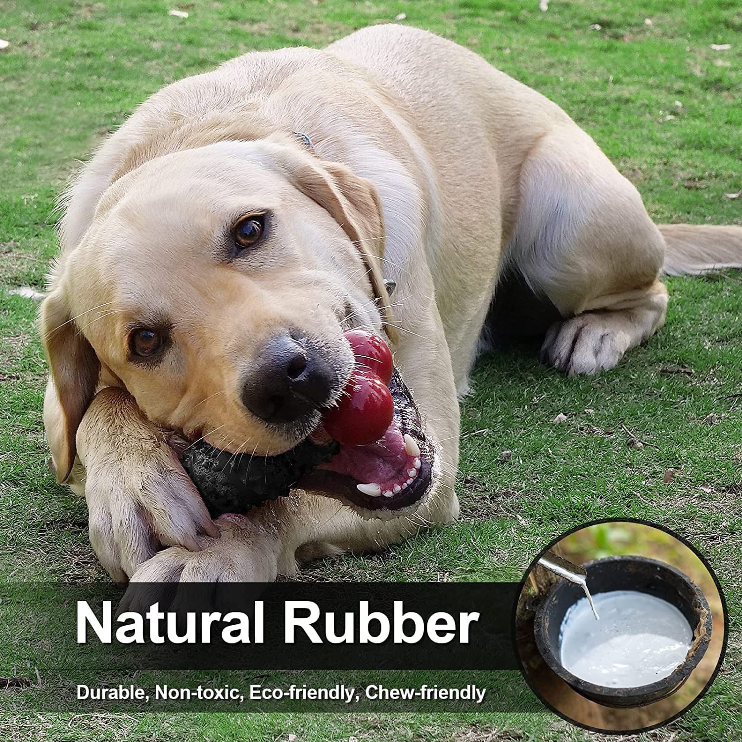 Indestructible Bone Dog Toy for Aggressive Chewers – Interactive Chew Toy for Medium & Large Dogs | Tough Dinosaur Dog Toy