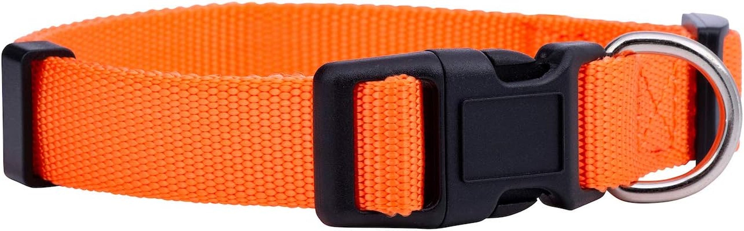 Adjustable Nylon Dog Collar for Small, Medium & Large Dogs | Comfortable Everyday Pet Collar