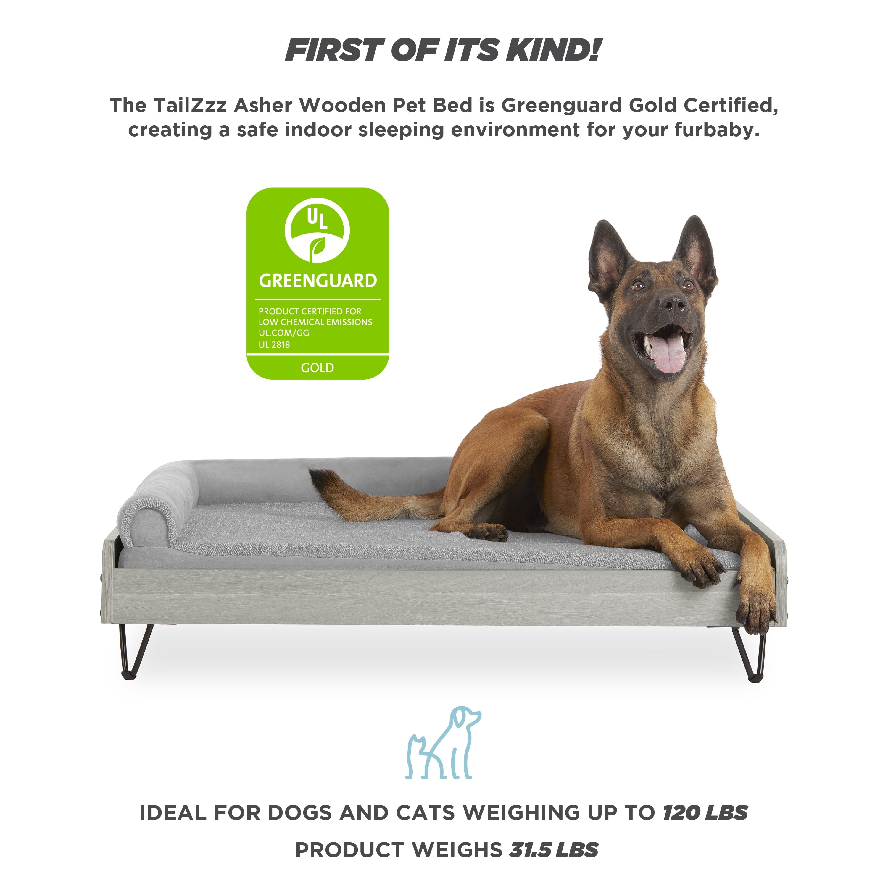 Asher Elevated Wooden Pet Bed with Mattress – Luxury Large & XL Dog Bed | Greenguard Gold Certified Modern Pet Furniture