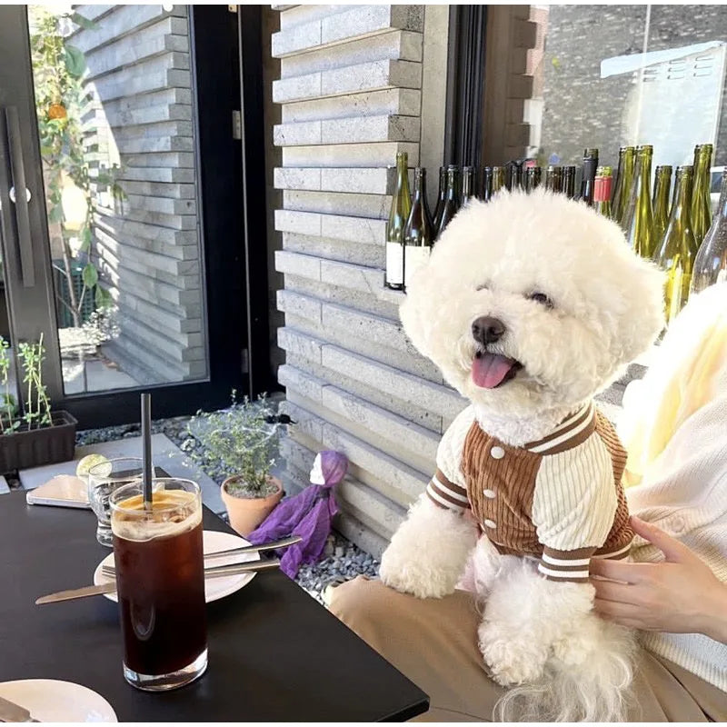 Korean-Style Dog Baseball Jacket Pet Jackets For Small to Medium - Varius Sizes