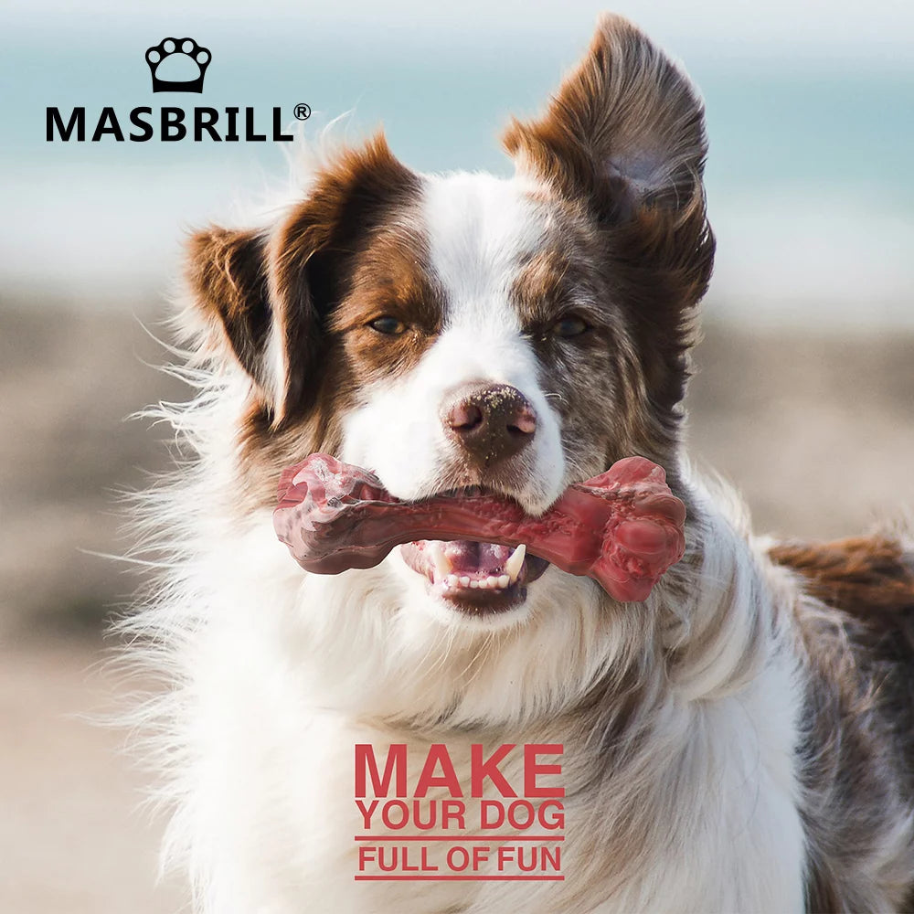 Durable Interactive Dog Toy for Teething, Chewing & Teeth Cleaning