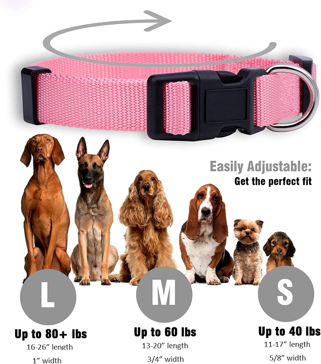 Adjustable Nylon Dog Collar for Small, Medium & Large Dogs | Comfortable Everyday Pet Collar