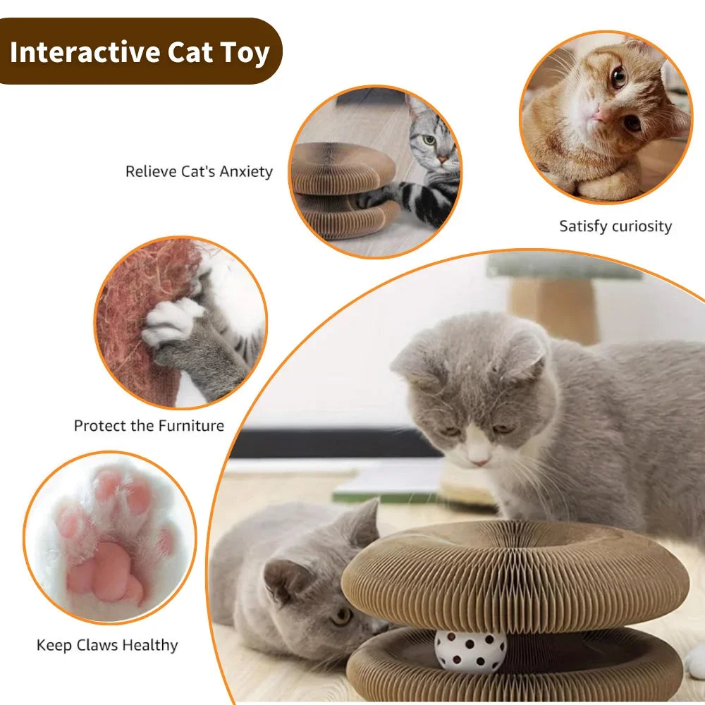 Interactive Cat Scratching Board Toy – Wear-Resistant Cat Claw Grinder with Bell | Fun Climbing & Scratching Toy for Cats
