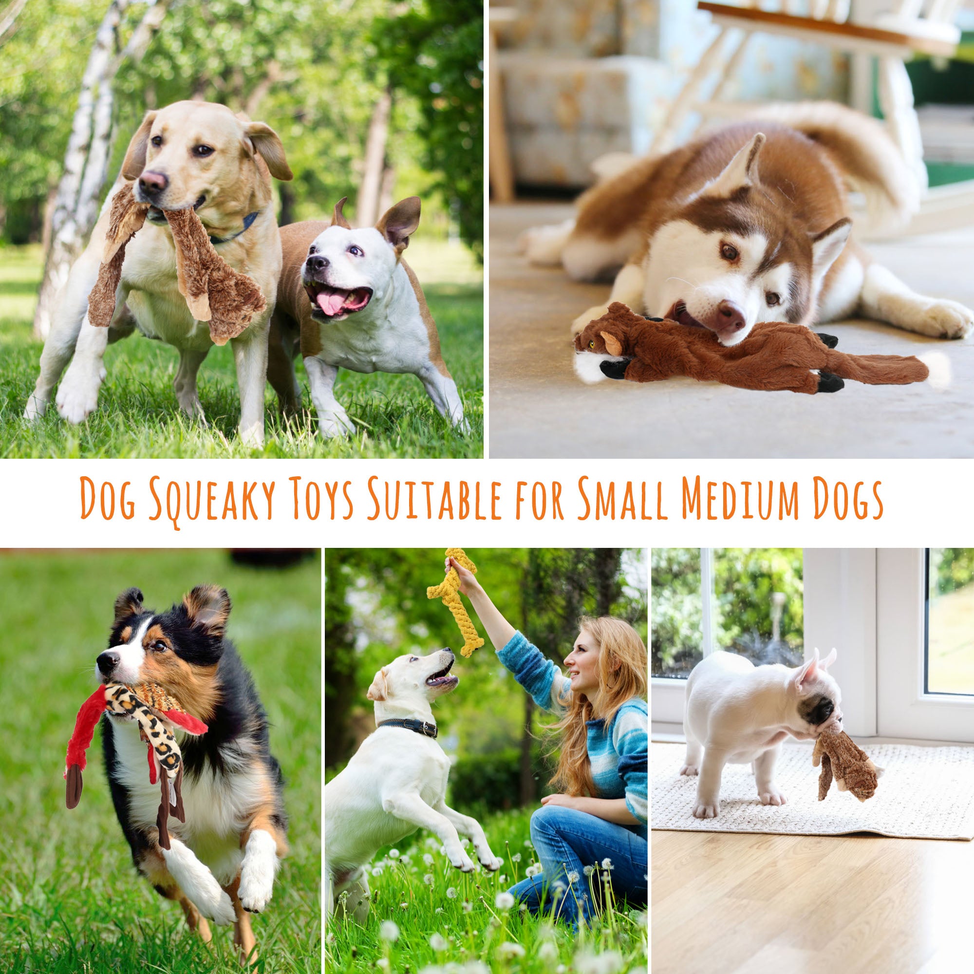 5Pcs Dog Squeaky Toys for Small Medium Dog, No Stuffing