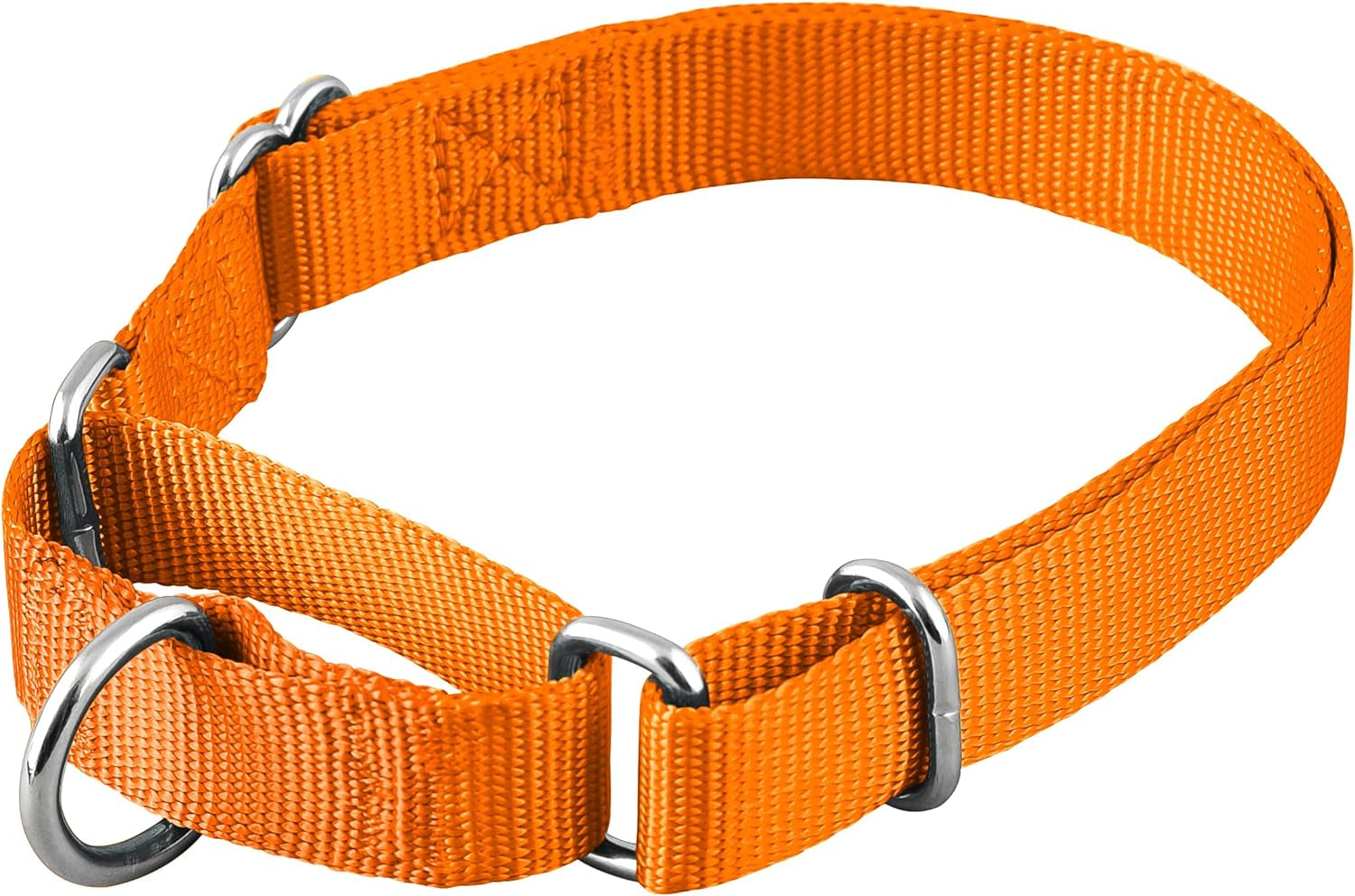 Adjustable Nylon Dog Collar for Small, Medium & Large Dogs | Comfortable Everyday Pet Collar