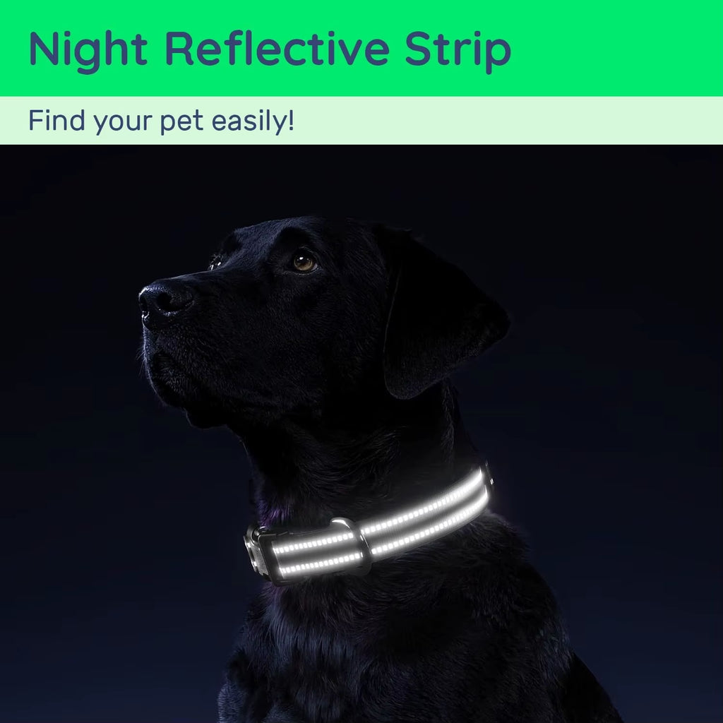 Waterproof Air Tag Dog Collar with Airtag Holder, Reflective Soft Padded & Safety Buckle