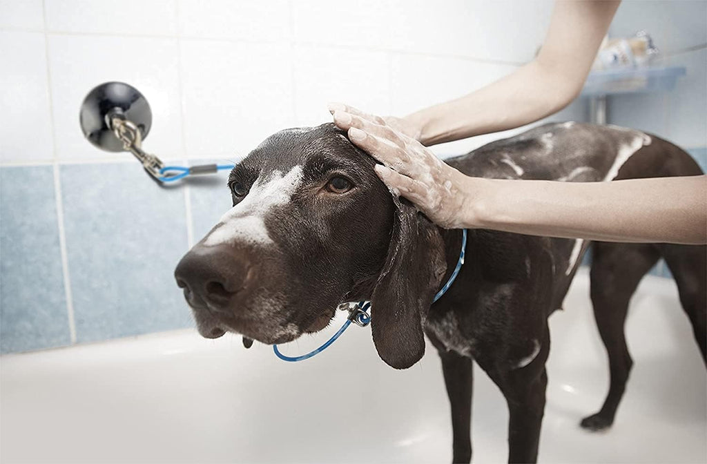 Dog Durable Bathing Grooming Shower Restraint Heavy Duty Bath Tether Leash with Suction Cup Dogs Blue