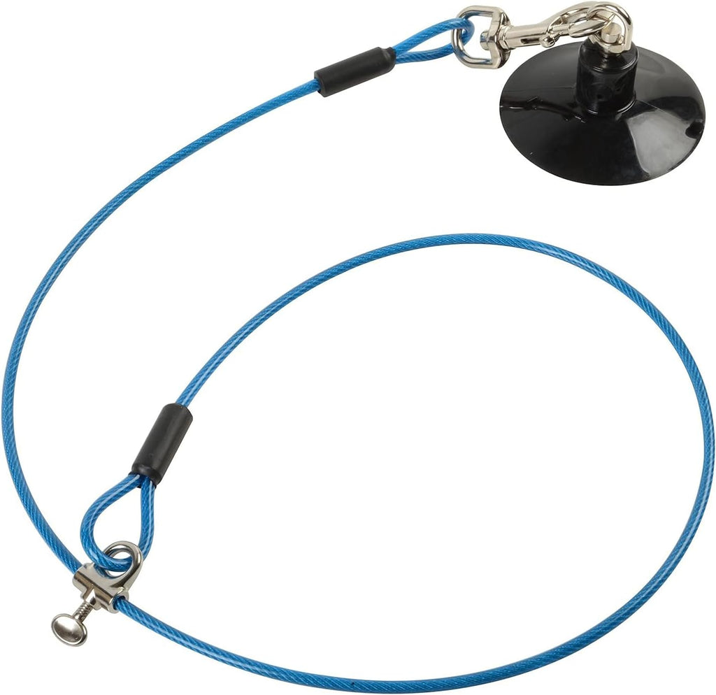 Dog Durable Bathing Grooming Shower Restraint Heavy Duty Bath Tether Leash with Suction Cup Dogs Blue