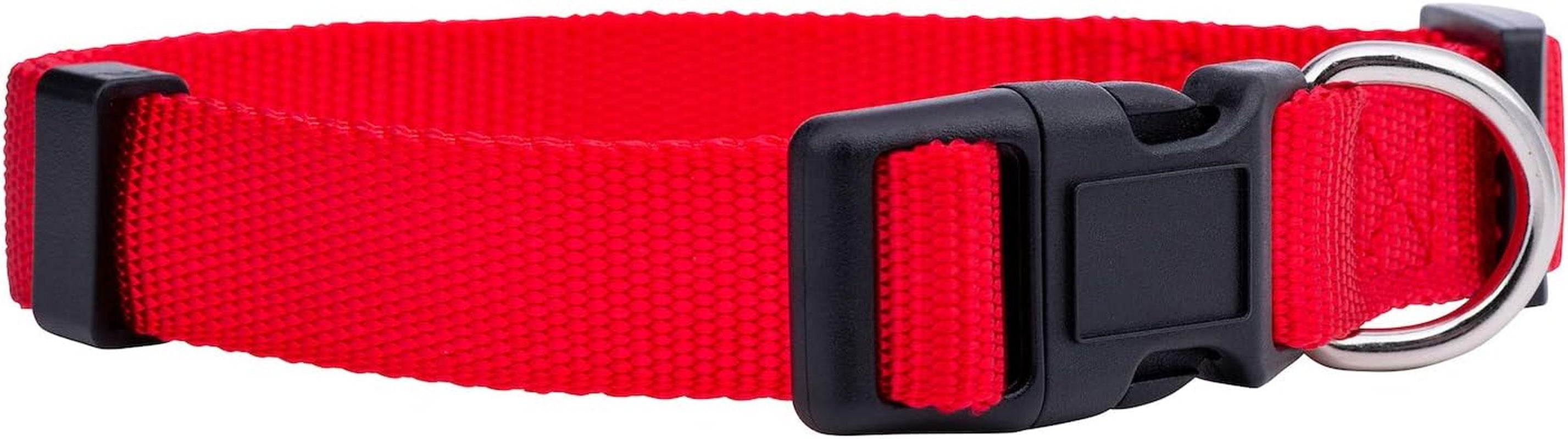 Adjustable Nylon Dog Collar for Small, Medium & Large Dogs | Comfortable Everyday Pet Collar