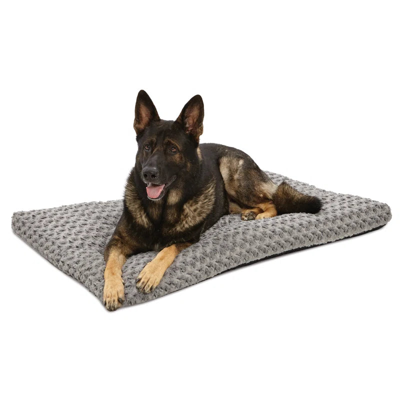 Quiet Time Pet Bed