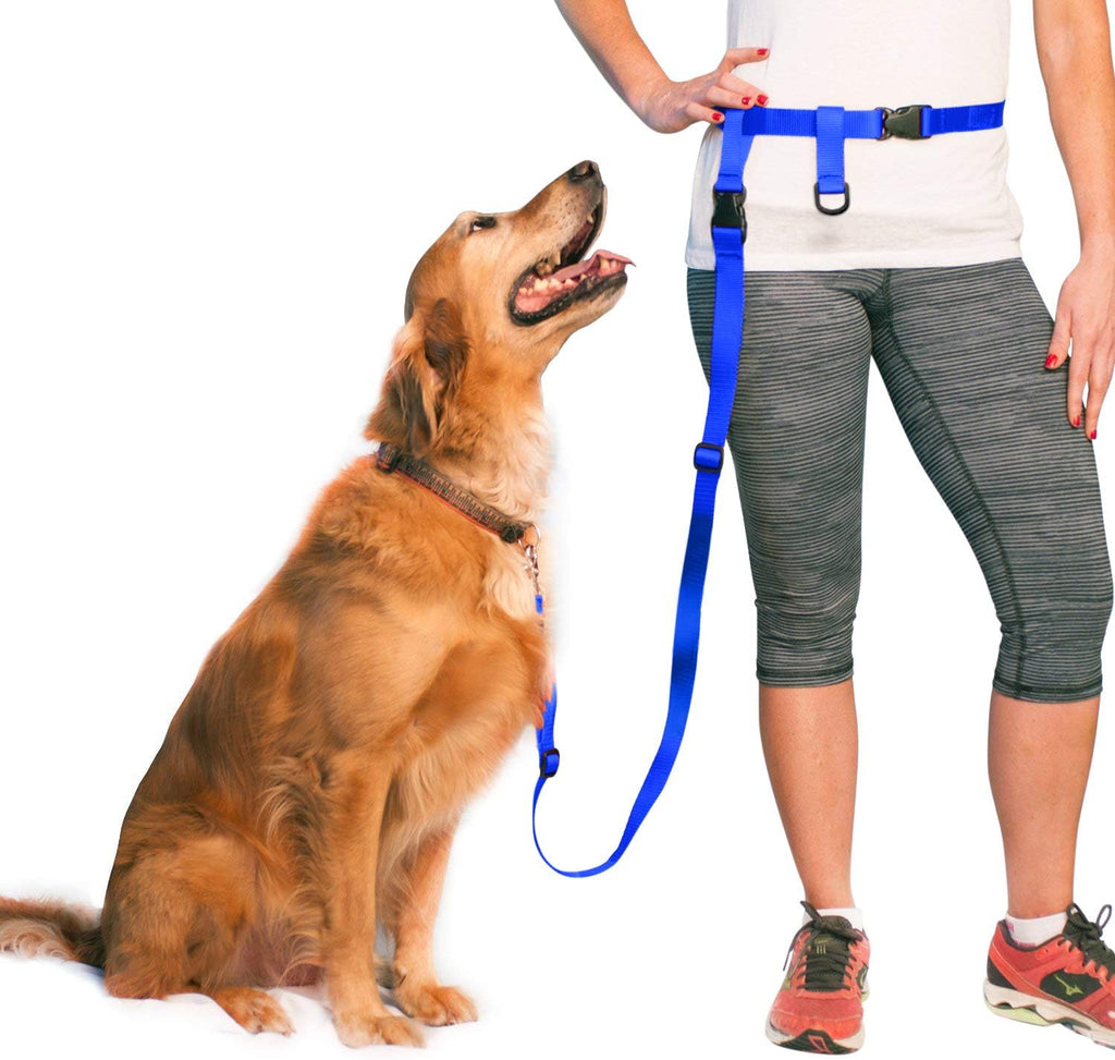 Hands-Free Dog Leash – Adjustable Running, Walking & Training Leash for Dogs -Royal Blue