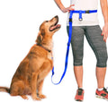Hands-Free Dog Leash – Adjustable Running, Walking & Training Leash for Dogs -Royal Blue
