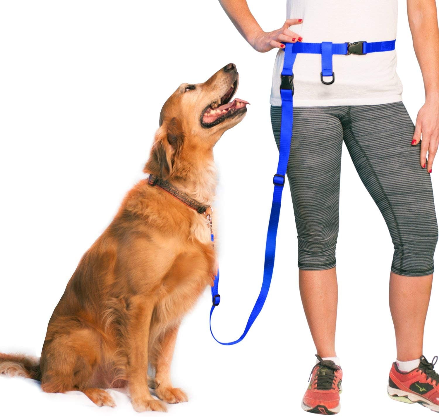 Hands-Free Dog Leash – Adjustable Running, Walking & Training Leash for Dogs -Royal Blue