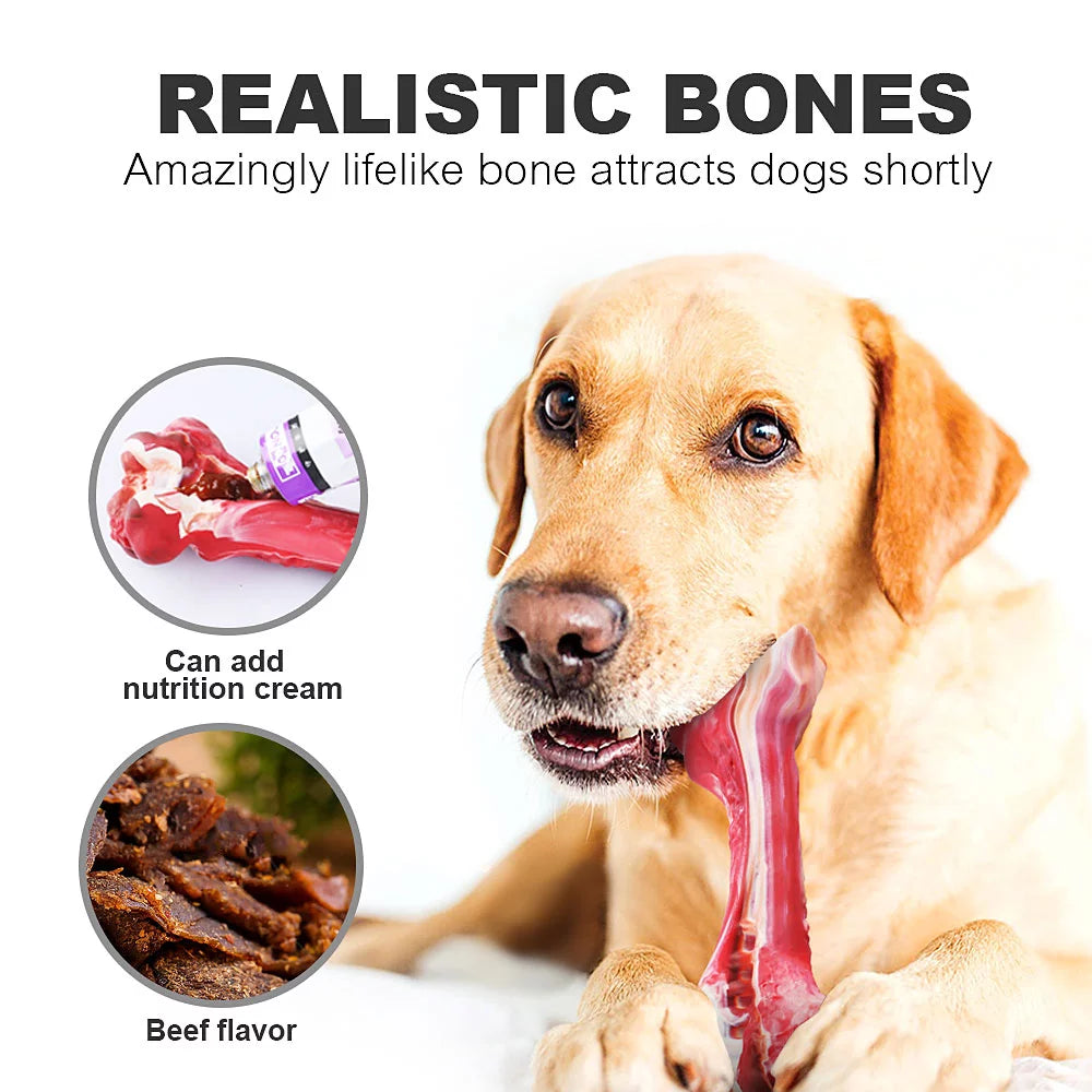 Durable Interactive Dog Toy for Teething, Chewing & Teeth Cleaning