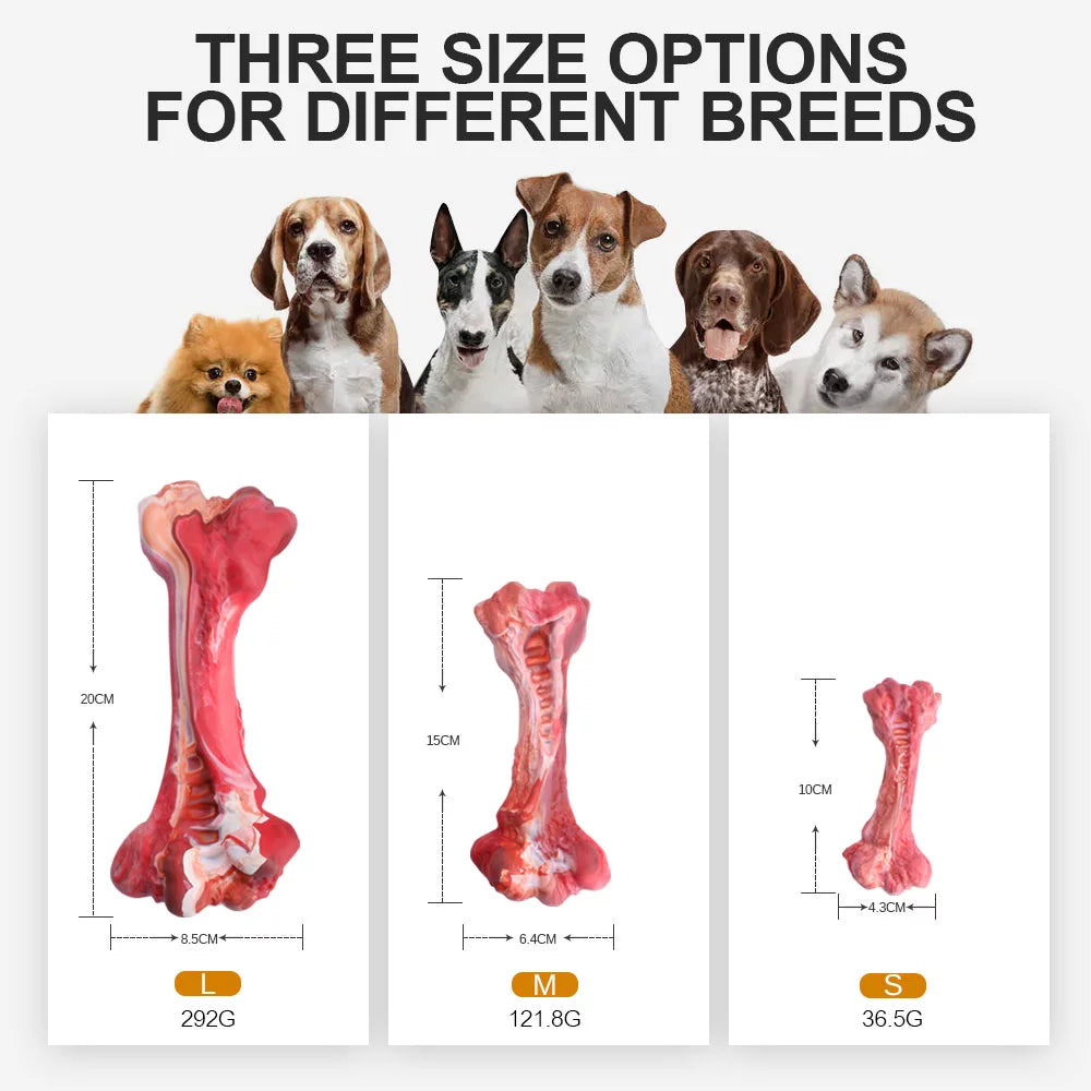 Durable Interactive Dog Toy for Teething, Chewing & Teeth Cleaning
