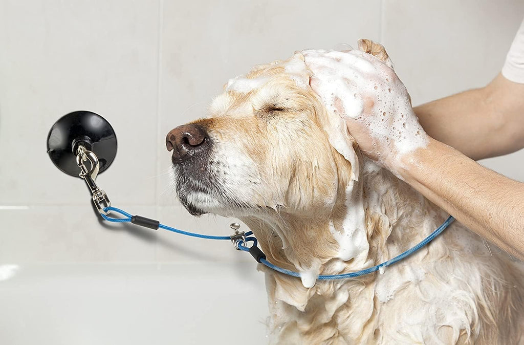 Dog Durable Bathing Grooming Shower Restraint Heavy Duty Bath Tether Leash with Suction Cup Dogs Blue