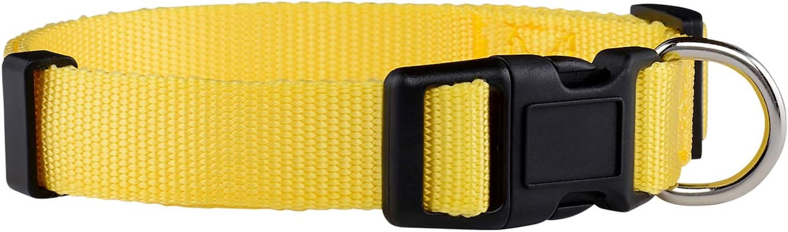 Adjustable Nylon Dog Collar for Small, Medium & Large Dogs | Comfortable Everyday Pet Collar