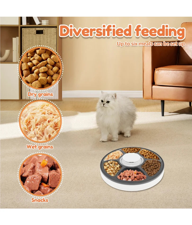6-Meal Automatic Pet Feeder with Timer – Battery-Powered Food Dispenser for Wet & Dry Pet Food