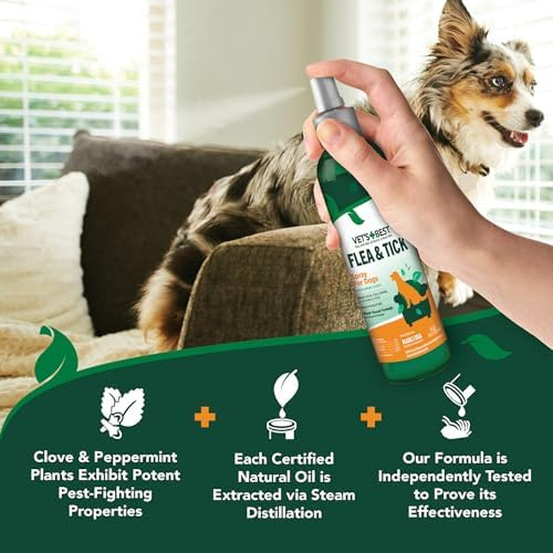 Plant-Based Flea and Tick Repellent Spray for Dogs – Non-Toxic Home & Pet Protection, 8 oz