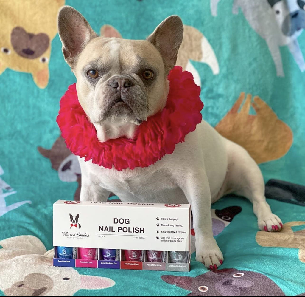 - Dog Nail Polish in a Bottle - for Premium Coverage and Color - All 6 Colors