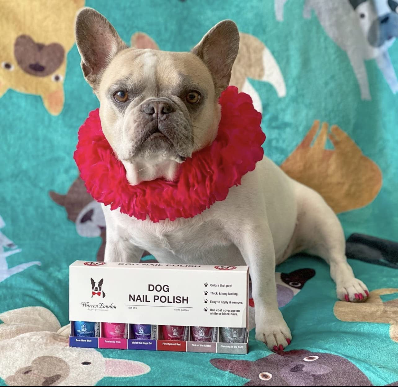 - Dog Nail Polish in a Bottle - for Premium Coverage and Color - All 6 Colors