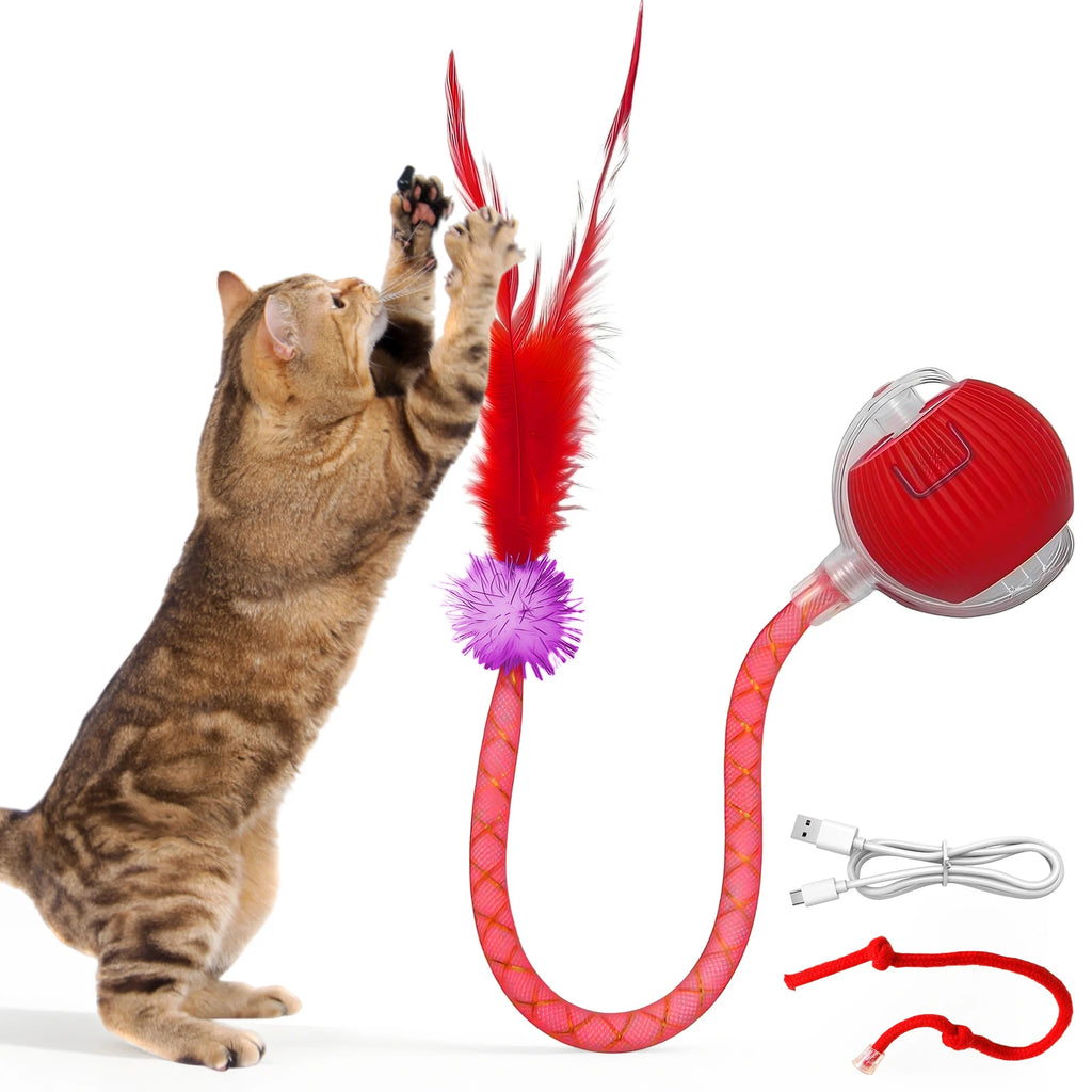 Automatic Moving Cat Toy Ball – USB Rechargeable Interactive Smart Cat Toy with Speedy Tail for Indoor Cats & Kittens