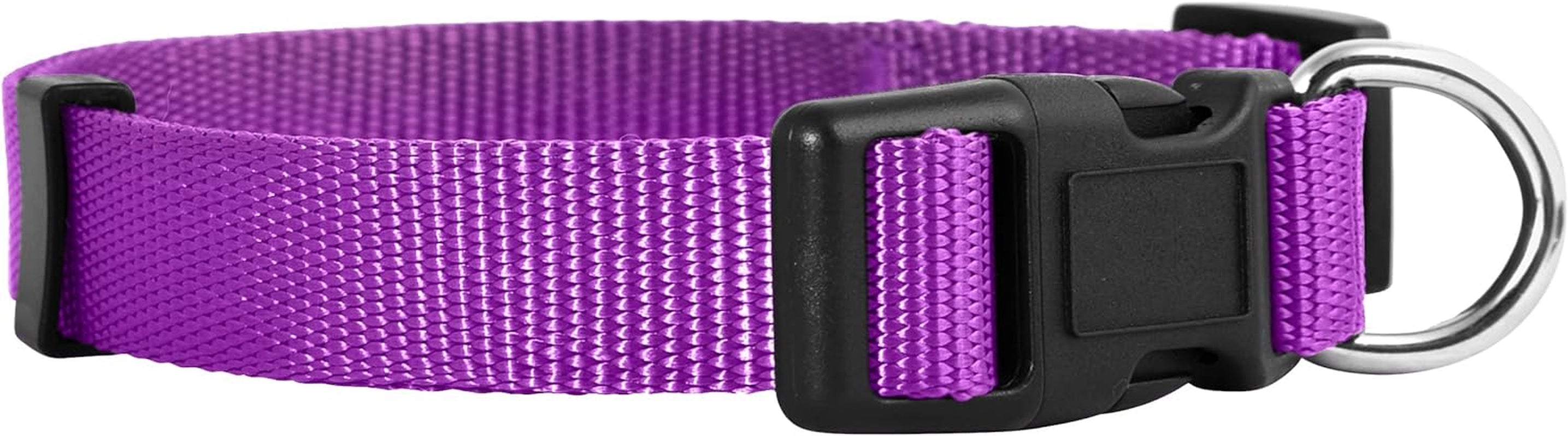 Adjustable Nylon Dog Collar for Small, Medium & Large Dogs | Comfortable Everyday Pet Collar