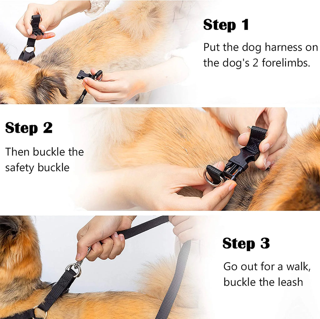 Dog Harness and Leash Set with Collar - Step in No Pull Dog Harness- Large
